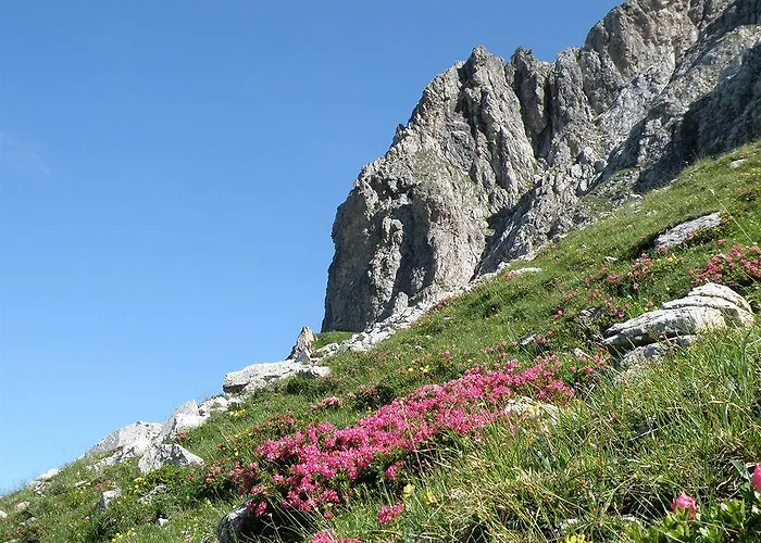 Angerwirt Kleinarl